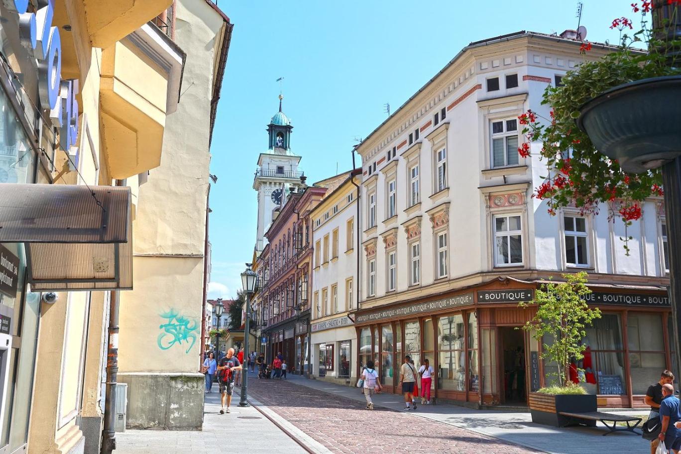 Cieszynski Boutique Hotel & Spa Stare Miasto Cieszyn Чешин Екстериор снимка